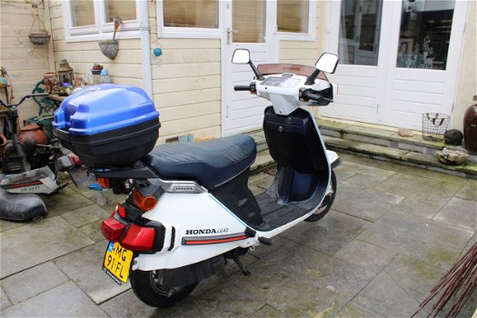 Honda Lead scooter 125cc (twee maal) - 2