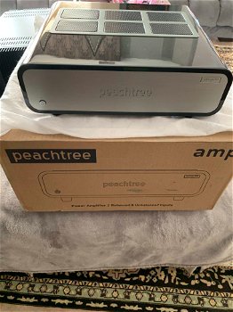 Peachtree Audio Amp500 - 3