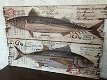 Set van 2 Houten wandborden,makreel & tonijn ,vis, tuin - 2 - Thumbnail