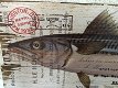 Set van 2 Houten wandborden,makreel & tonijn ,vis, tuin - 3 - Thumbnail