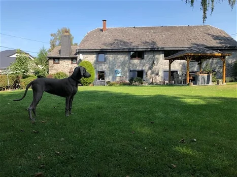 16 pers Gite Ardennais landelijk gelegen centraal Ardennen - 7