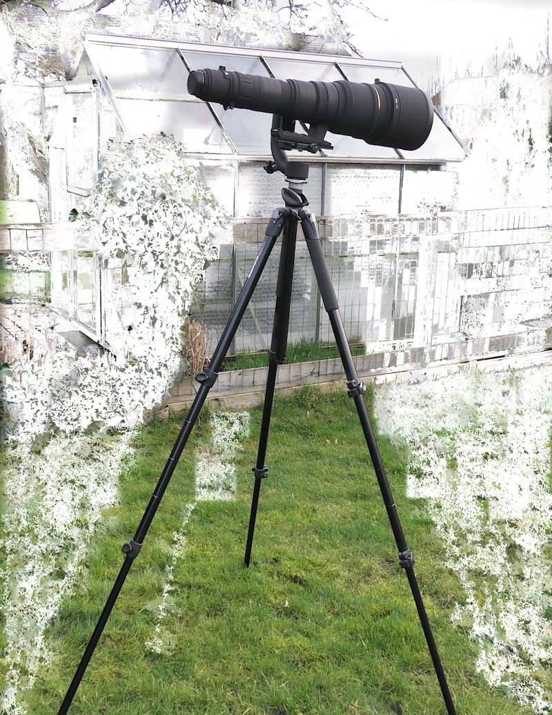 Goede 300-800 mm lens van Sigma voor Nikon - nr. 1