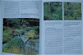 Tuinvijvers en waterpartijen - 2 - Thumbnail