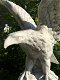 Adelaar vol steen, prachtig beeld, decoratie tuin,adelaar - 5 - Thumbnail