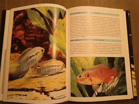 Encyclopedie van Aquariumvissen - 0