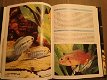 Encyclopedie van Aquariumvissen - 0 - Thumbnail