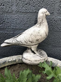 1 duif, dierlijke figuur gemaakt van gegoten steen,tuin - 0