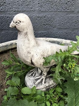 1 duif, dierlijke figuur gemaakt van gegoten steen,tuin - 1