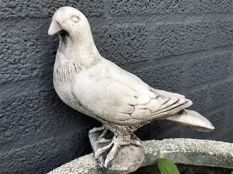1 duif, dierlijke figuur gemaakt van gegoten steen,tuin - 3