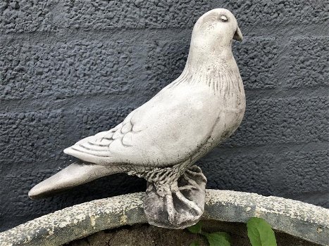 1 duif, dierlijke figuur gemaakt van gegoten steen,tuin - 4