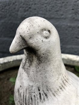 1 duif, dierlijke figuur gemaakt van gegoten steen,tuin - 5