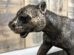 1 Sculpture Leopard, massief ijzer, brons look , marmeren - 2 - Thumbnail