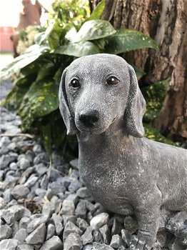 Decoratie dierenfiguur hond, Teckel hondenbeeld ,Teckel - 2