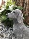 Decoratie dierenfiguur hond, Teckel hondenbeeld ,Teckel - 3 - Thumbnail