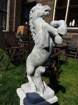 Paard op sokkel, vol steen-paard-tuinbeeld-beeld - 1