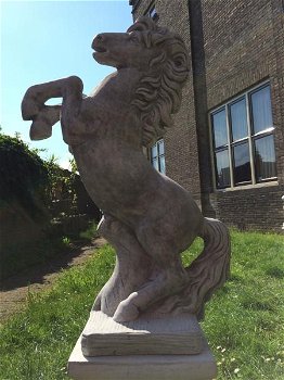Paard op sokkel, vol steen-paard-tuinbeeld-beeld - 5