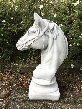 paardenhoofd,vol steen , tuin , paarden beeld , paard - 1