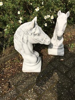 paardenhoofd,vol steen , tuin , paarden beeld , paard - 2