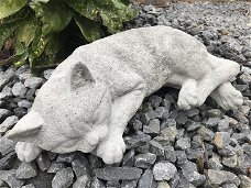 Slapende kat- levensecht dierenfiguur,poes ,kat , deco