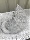 Slapende kat- levensecht dierenfiguur,poes ,kat , deco - 5 - Thumbnail