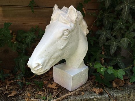 paard gietijzer hoofd, in roest-optica white, paardehoofd - 0