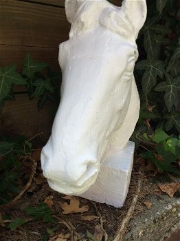 paard gietijzer hoofd, in roest-optica white, paardehoofd - 3