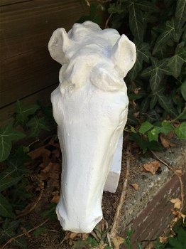 paard gietijzer hoofd, in roest-optica white, paardehoofd - 4