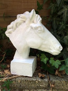 paard gietijzer hoofd, in roest-optica white, paardehoofd - 7