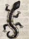 1 Salamander ,hagedis ,ijzer,vol collor ,tuin , decoratie - 0 - Thumbnail