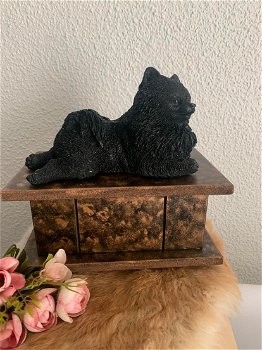 Pomeriaan hondenbeeld op urn als set of los beeldje te koop - 1