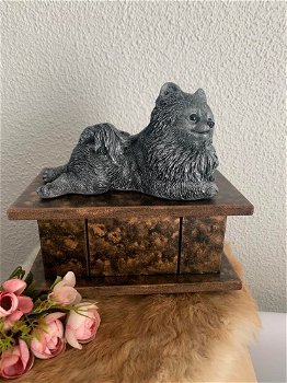 Pomeriaan hondenbeeld op urn als set of los beeldje te koop - 2