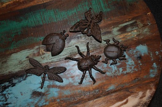 5 x insect gietijzer, wandornament , vlinder , lieveheerstbeest - 4