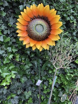 Een kunstwerkje-grote zonnebloem , zonnebloem , bloem - 2