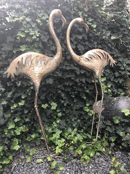 Een prachtige flamingo-set , flamingo , tuin , deco - 0