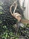 Een prachtige flamingo-set , flamingo , tuin , deco - 3 - Thumbnail