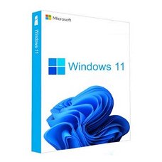 windows 11 pro for 1 pc ( Lifetime activation )