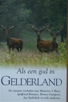 Als een god in Gelderland