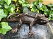 Hagedis, gekko, gietijzer bruin, , salamander - 1 - Thumbnail