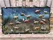 Het metalen aquarium vol met vis-vissenbak ,vis vissen - 0 - Thumbnail