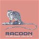 Racoon – Live At HMH, Amsterdam - Theatre Show 2016 (2 CD) Nieuw/Gesealed - 0 - Thumbnail