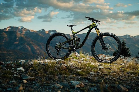 2020 Giant Reign 2 Mountain Bike - 1