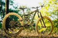 2020 Giant Reign 2 Mountain Bike - 2 - Thumbnail