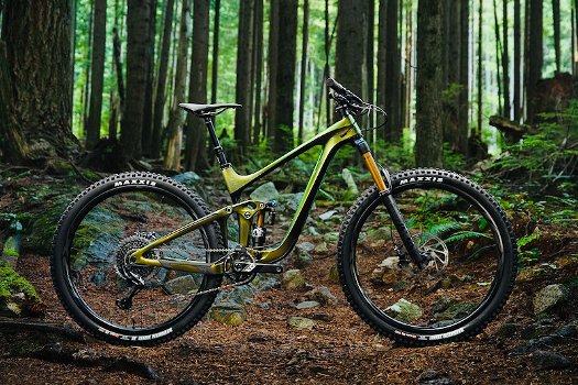 2020 Giant Reign 2 Mountain Bike - 3