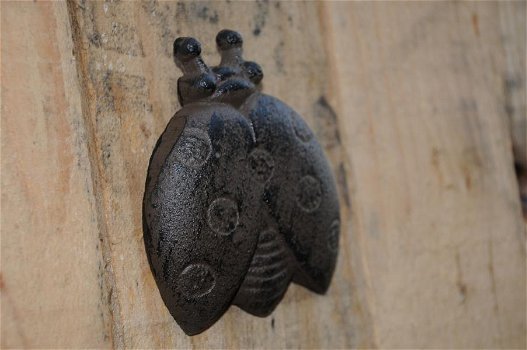Lieveheersbeestje-gietijzer-wandornament , lievebeest - 2