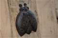 Lieveheersbeestje-gietijzer-wandornament , lievebeest - 2 - Thumbnail