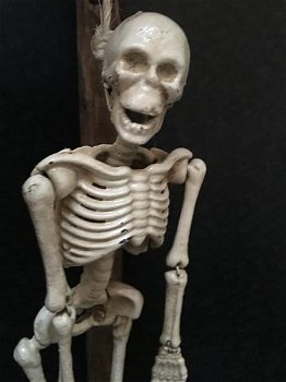 Metalen skelet aan galg-skelet , - 2