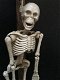 Metalen skelet aan galg-skelet , - 2 - Thumbnail
