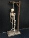 Metalen skelet aan galg-skelet , - 5 - Thumbnail