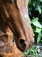 Paarden hoofd gemaakt van ijzer-paard , paardenhoofd - 3 - Thumbnail