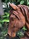 Paarden hoofd gemaakt van ijzer-paard , paardenhoofd - 7 - Thumbnail